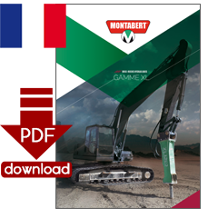PDF-Download