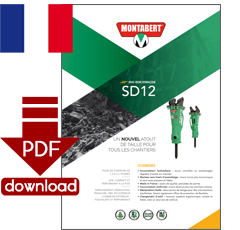 PDF-Download