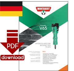 PDF-Download