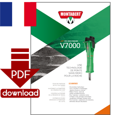 PDF-Download