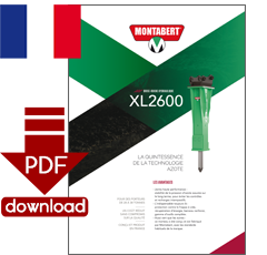 PDF-Download